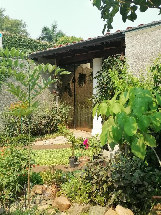 Granados Bed & Breakfast อะซุนซิออง ภายนอก รูปภาพ
