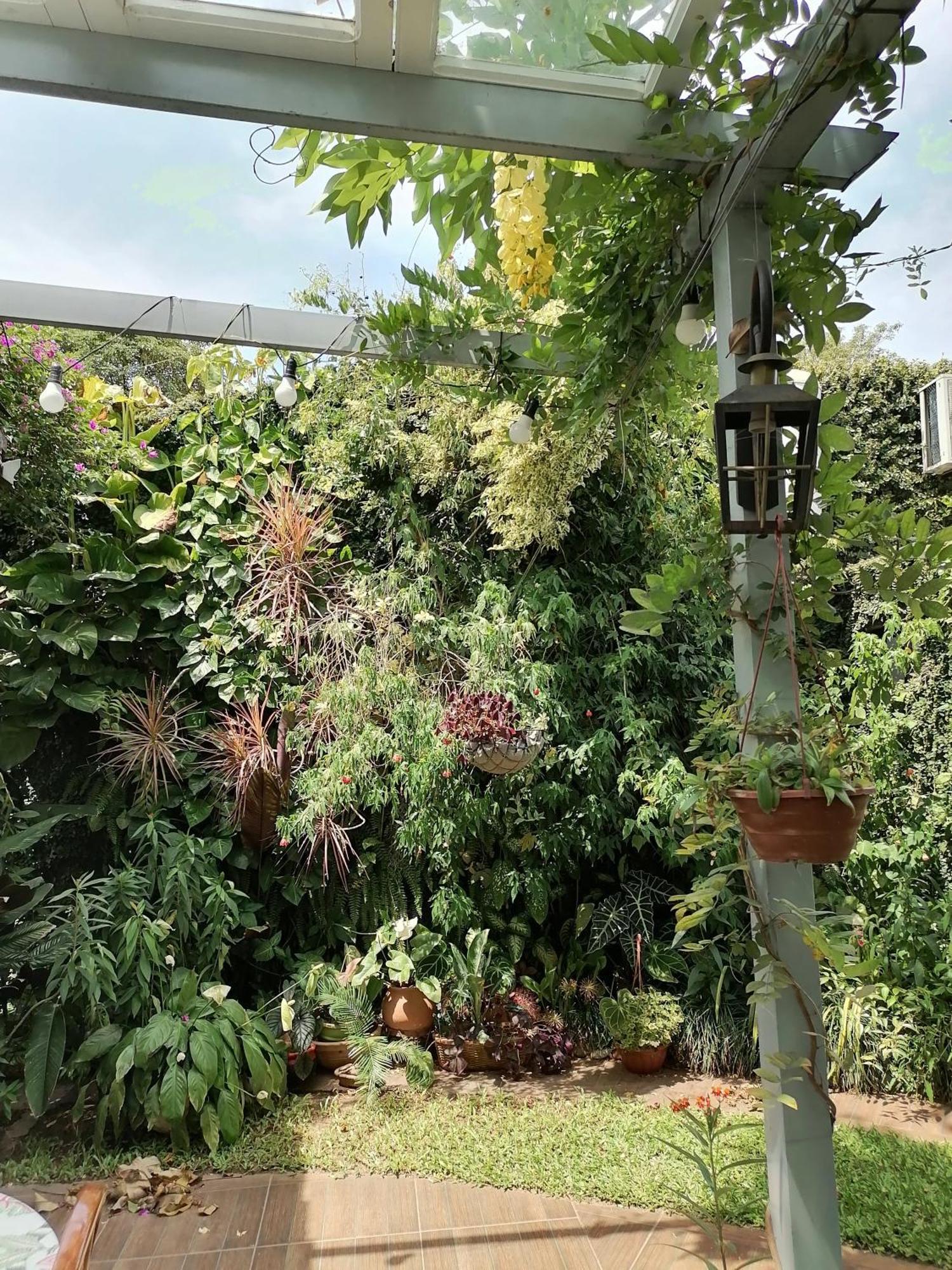 Granados Bed & Breakfast อะซุนซิออง ภายนอก รูปภาพ