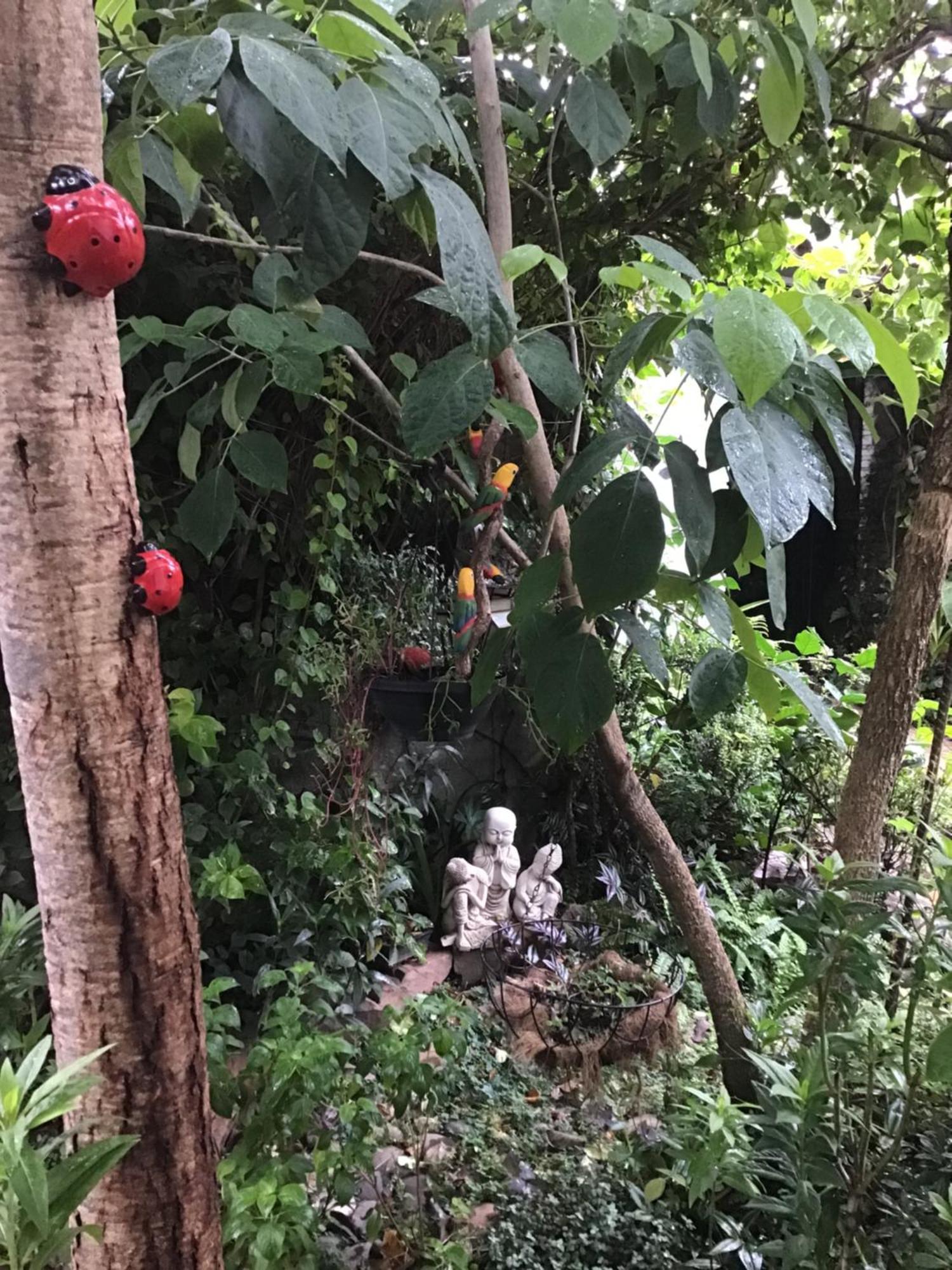 Granados Bed & Breakfast อะซุนซิออง ภายนอก รูปภาพ